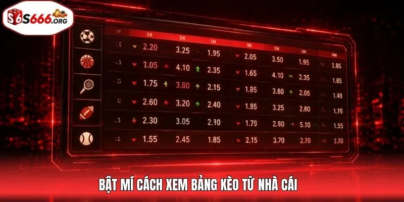 Bật mí cách xem bảng kèo từ nhà cái