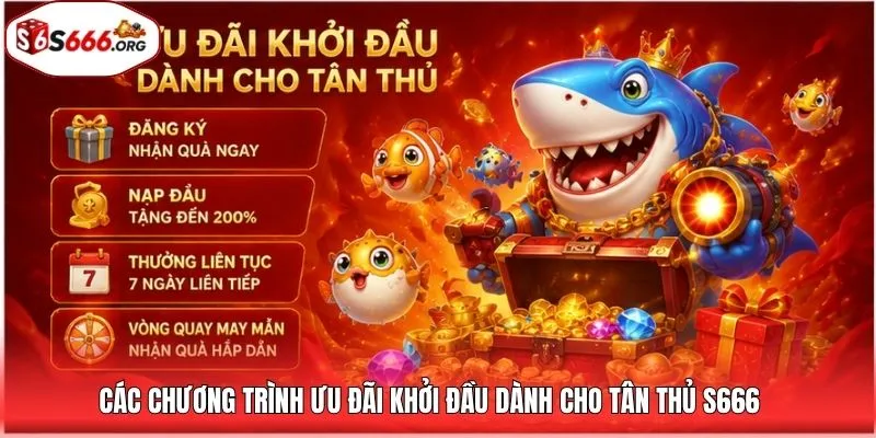 Các chương trình ưu đãi khởi đầu dành cho tân thủ S666