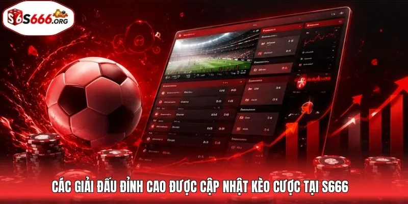 Các giải đấu đỉnh cao được cập nhật kèo cược tại S666