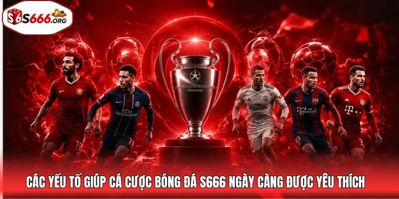 Các yếu tố giúp cá cược bóng đá S666 ngày càng được yêu thích
