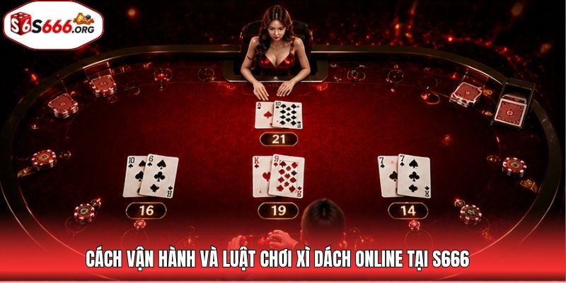 Cách vận hành và luật chơi xì dách online tại S666