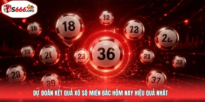 Dự đoán kết quả xổ số miền Bắc hôm nay hiệu quả nhất