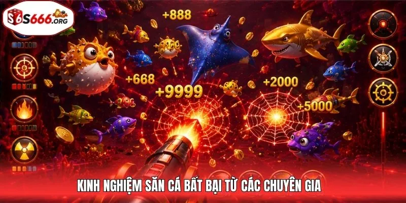 Kinh nghiệm săn cá bất bại từ các chuyên gia